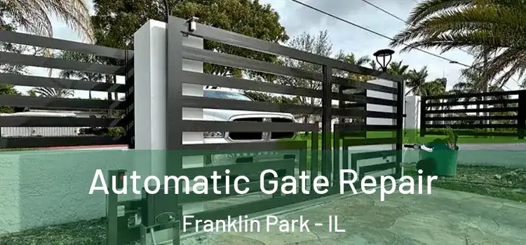 Automatic Gate Repair Franklin Park - IL