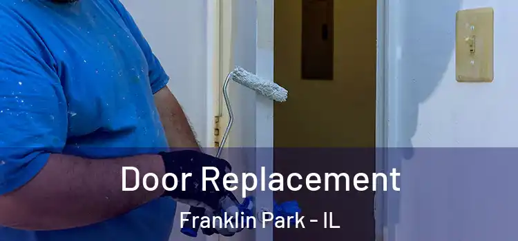 Door Replacement Franklin Park - IL