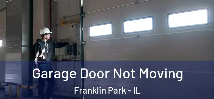  Garage Door Not Moving Franklin Park - IL