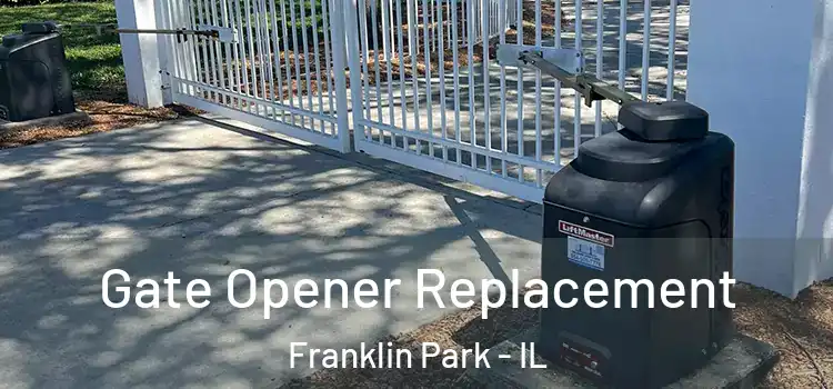 Gate Opener Replacement Franklin Park - IL