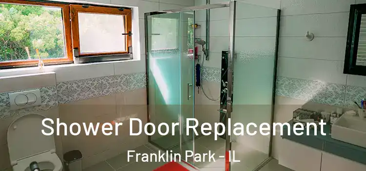 Shower Door Replacement Franklin Park - IL